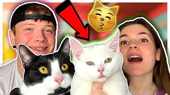 DERES FØRSTE MØDE!! (Endte I Slåskamp)