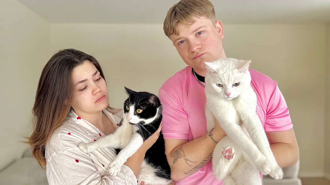 Vi siger "farvel" til kattene... (2. Flyttevlog)