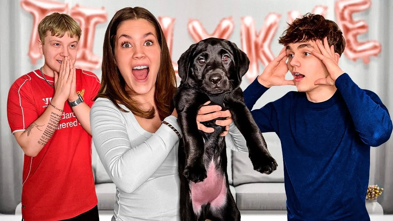 Overrasker Kamilla's bror med en hundehvalp!