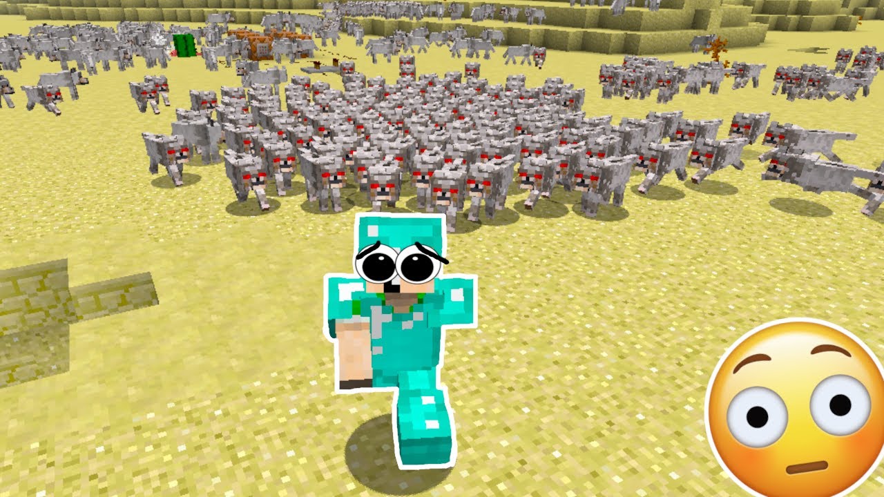 SPILLER MINECRAFT MED 1000 SURE HUNDE!!