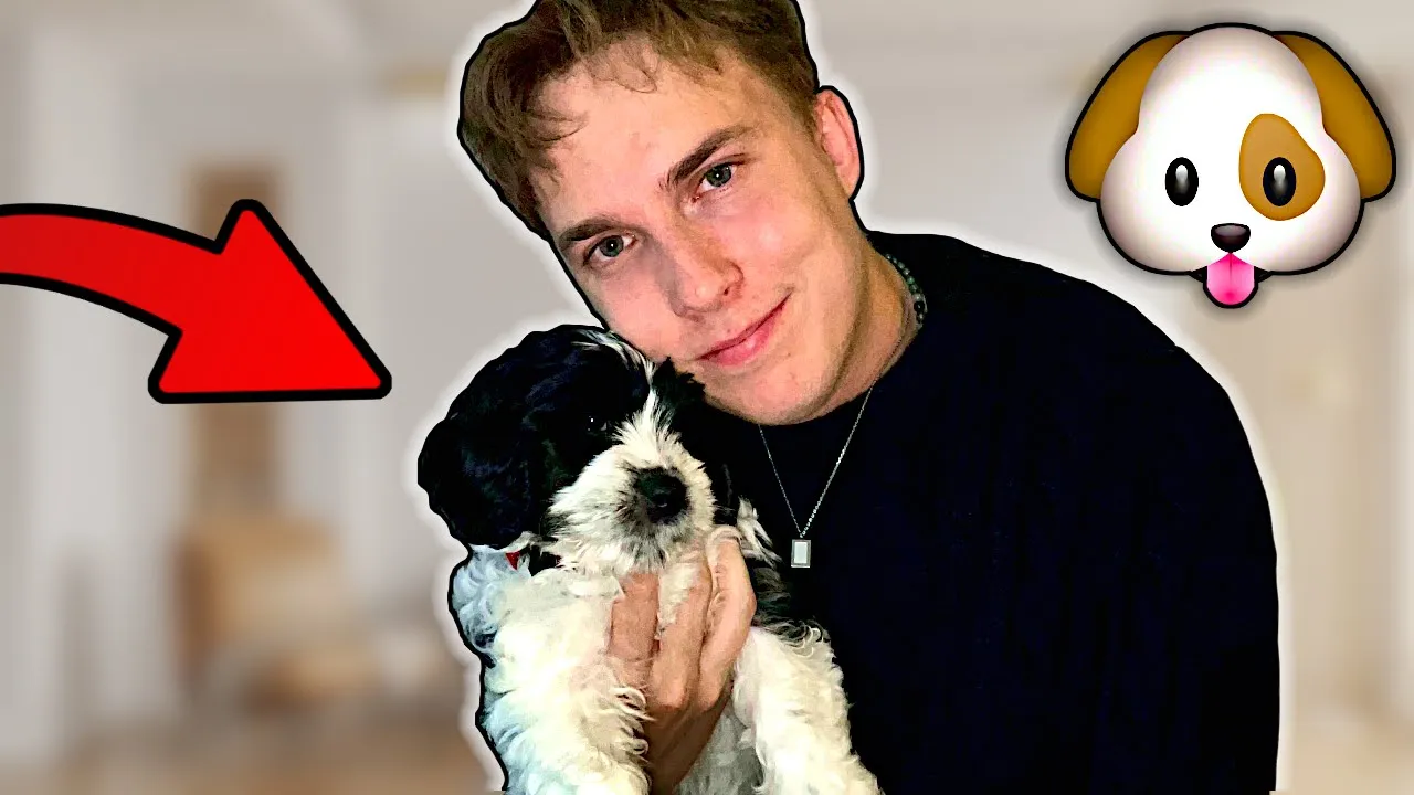 VI HENTER VORES NYE HUNDEHVALP!