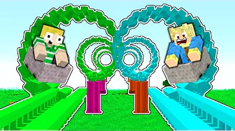 Hvem Bygger Bedste ROLLER COASTER I Minecraft?!