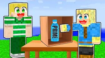 Hvad Er Der i KASSEN i Minecraft?!