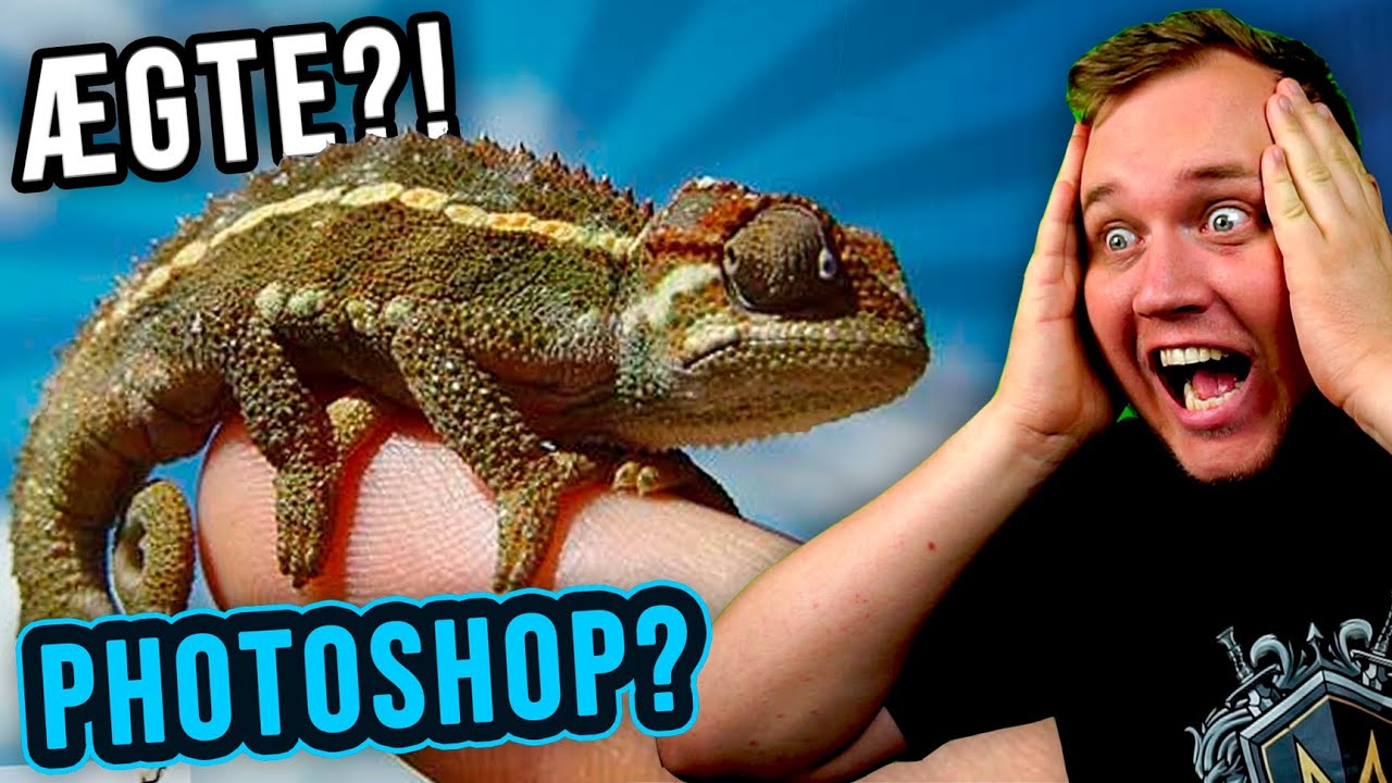 HVORDAN ER DET IKKE ÆGTE?! *MEGET SVÆR* :: ÆGTE eller PHOTOSHOP?! #3
