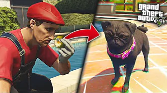 ÆDER PLANTE, BLIVER TIL DYR og ÆDER MENNESKER! :: GTA 5 Online Dansk