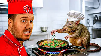 ROTTER Laver Mad På Vores Restaurant