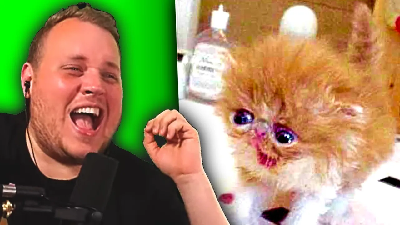 Memes, men det er GRIMME KILLINGER