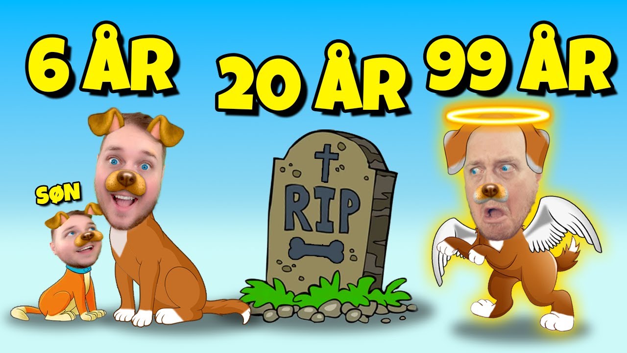 Alle GODE HUNDE kommer i HIMLEN?!