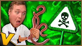 JEG LAVEDE EN ULÆKKER KLAMMER ORM! ☣ :: Plague Inc. Evolved Dansk