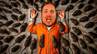 Prøver Det Du Er Mest BANGE For!