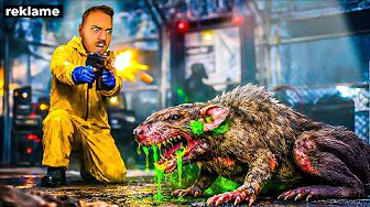 De KLAMME ROTTER i Karantæne Zonen