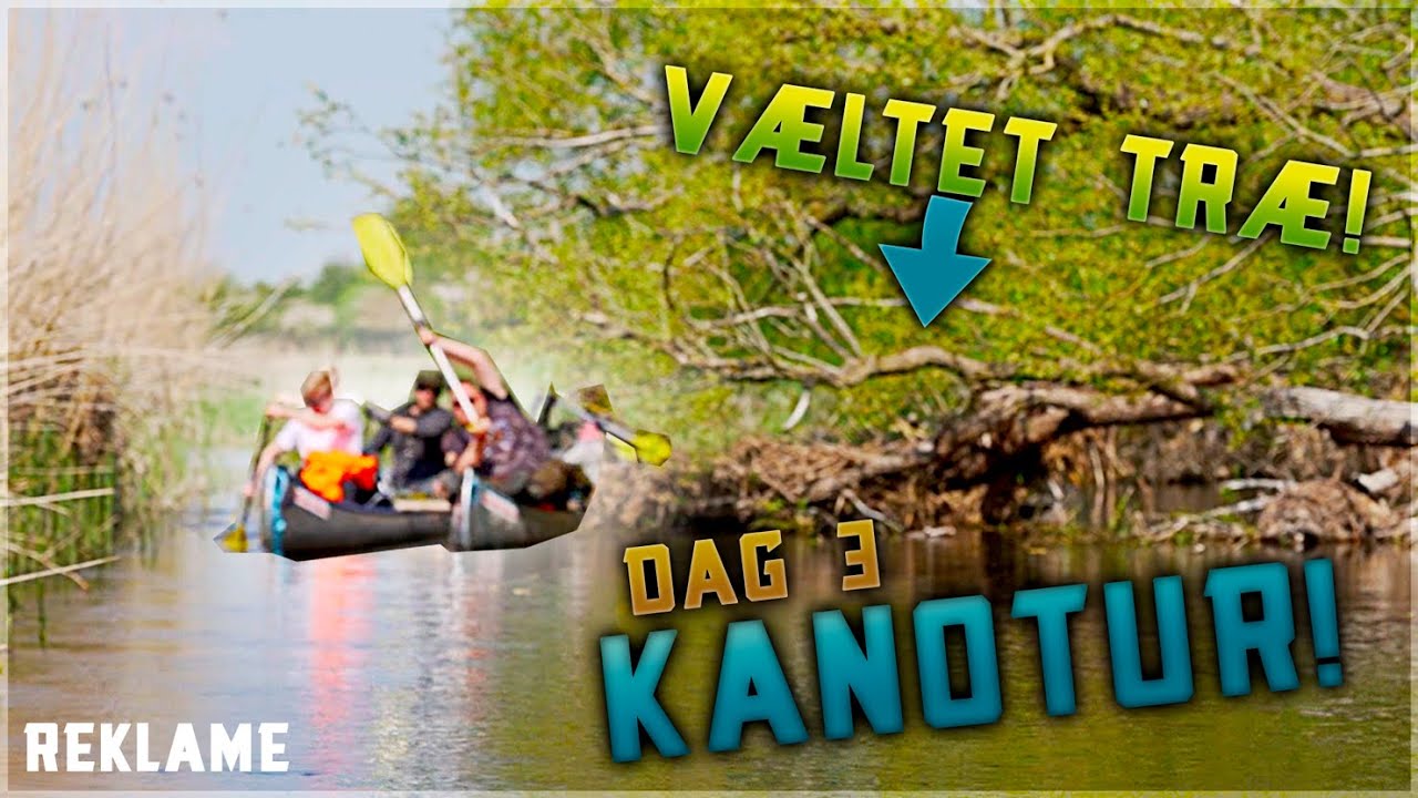 Et TRÆ var VÆLTET ned i ÅEN! på Suså m. @DengoDK