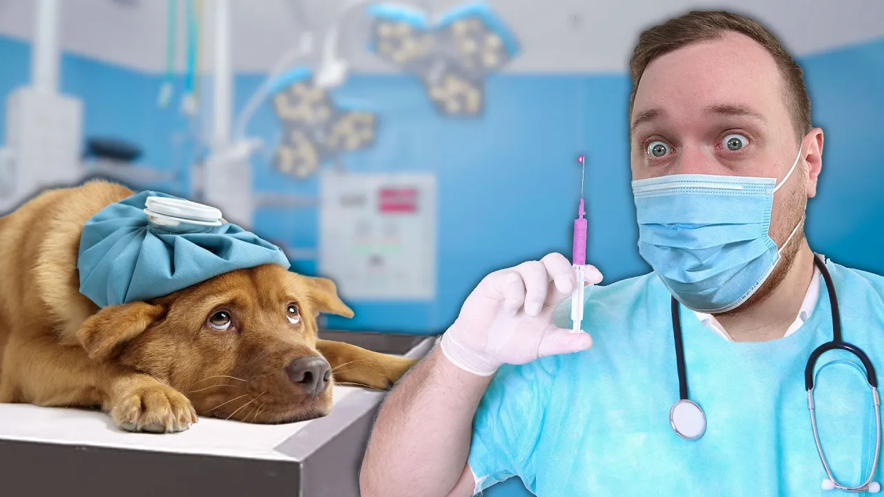 Giver MEDICIN til SYG HUND i Animal Shelter Simulator!