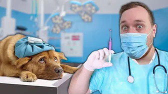 Giver MEDICIN til SYG HUND i Animal Shelter Simulator!