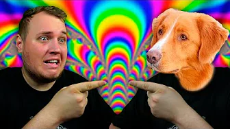 Det er IKKE Photoshop?!