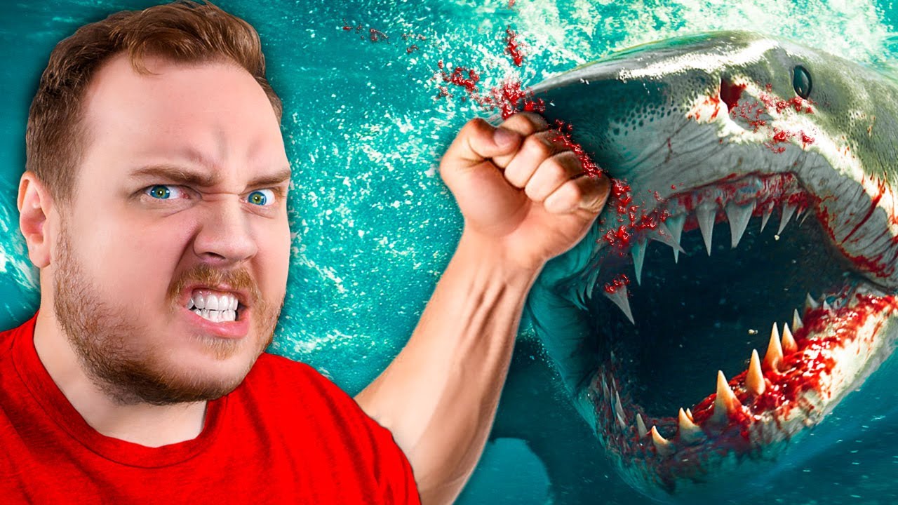 Jeg gav HVIDHAJ en KNYTNÆVE??!