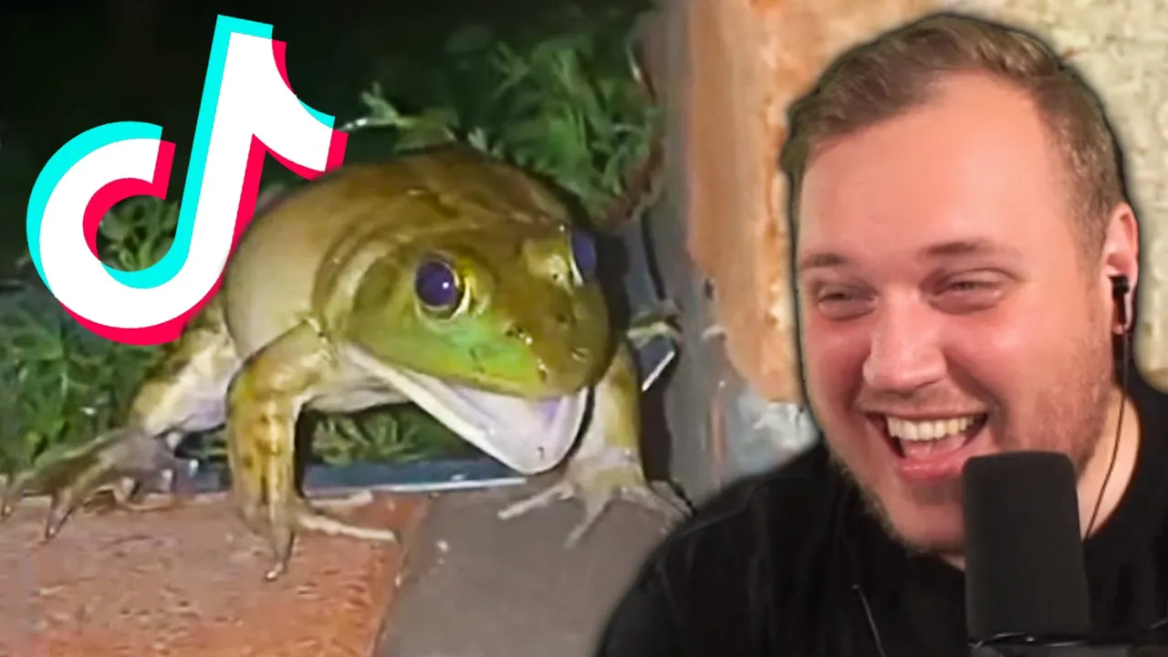 MEMES der gør din FRØ TikTok KENDT!