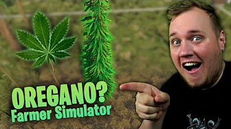 Oregano Farmer Simulator, men det IKKE oregano ... 🤫