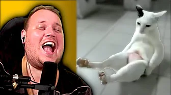 Vercinger reagerer på Usædvanlige Memes, der får din KAT til at dyrke Yoga