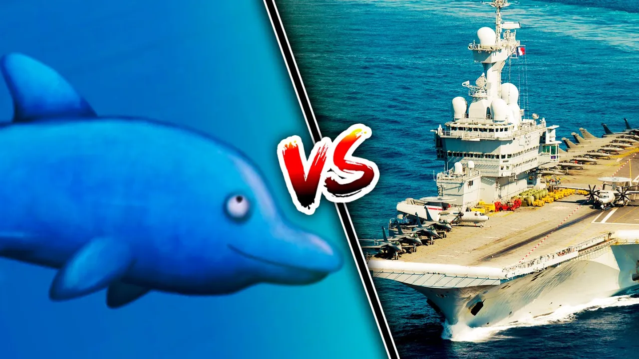 HVEM VINDER: DELFIN eller KRIGSSKIB?!