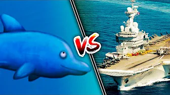 HVEM VINDER: DELFIN eller KRIGSSKIB?!