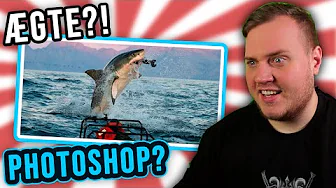 HAJ Angriber DRONE?! :: ÆGTE eller PHOTOSHOP?! #4