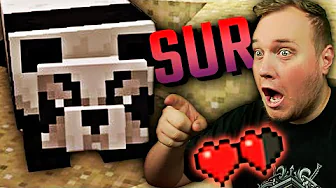 FÅR EN PANDA! 🐼 *DEN ER SUR?!*😡 :: Minecraft: Pondus++ Sæson 2 EP6