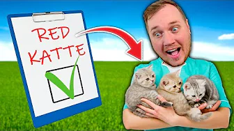 Er det den VIGTIGSTE OPGAVE i Animal Shelter Simulator?! 😻