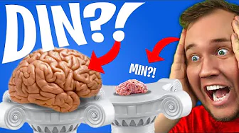 HØJERE IQ end MIG?!