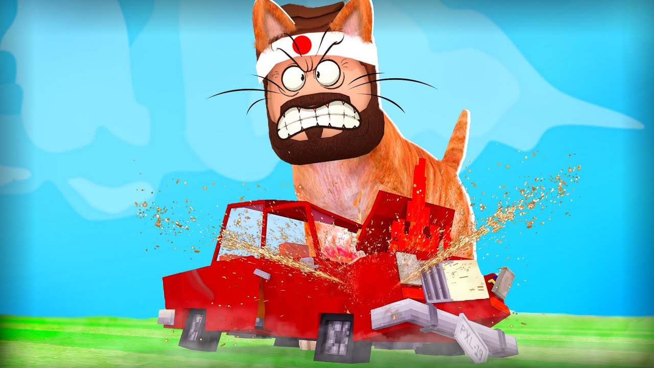 VERDENS STÆRKESTE KAT?!