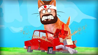 VERDENS STÆRKESTE KAT?!