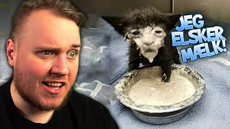 Den KILLING gør ALT for MÆLK!