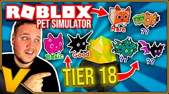 UPDATE 10: PET LEVEL OVER 1 MILLION! :: Pet Simulator - Roblox Dansk