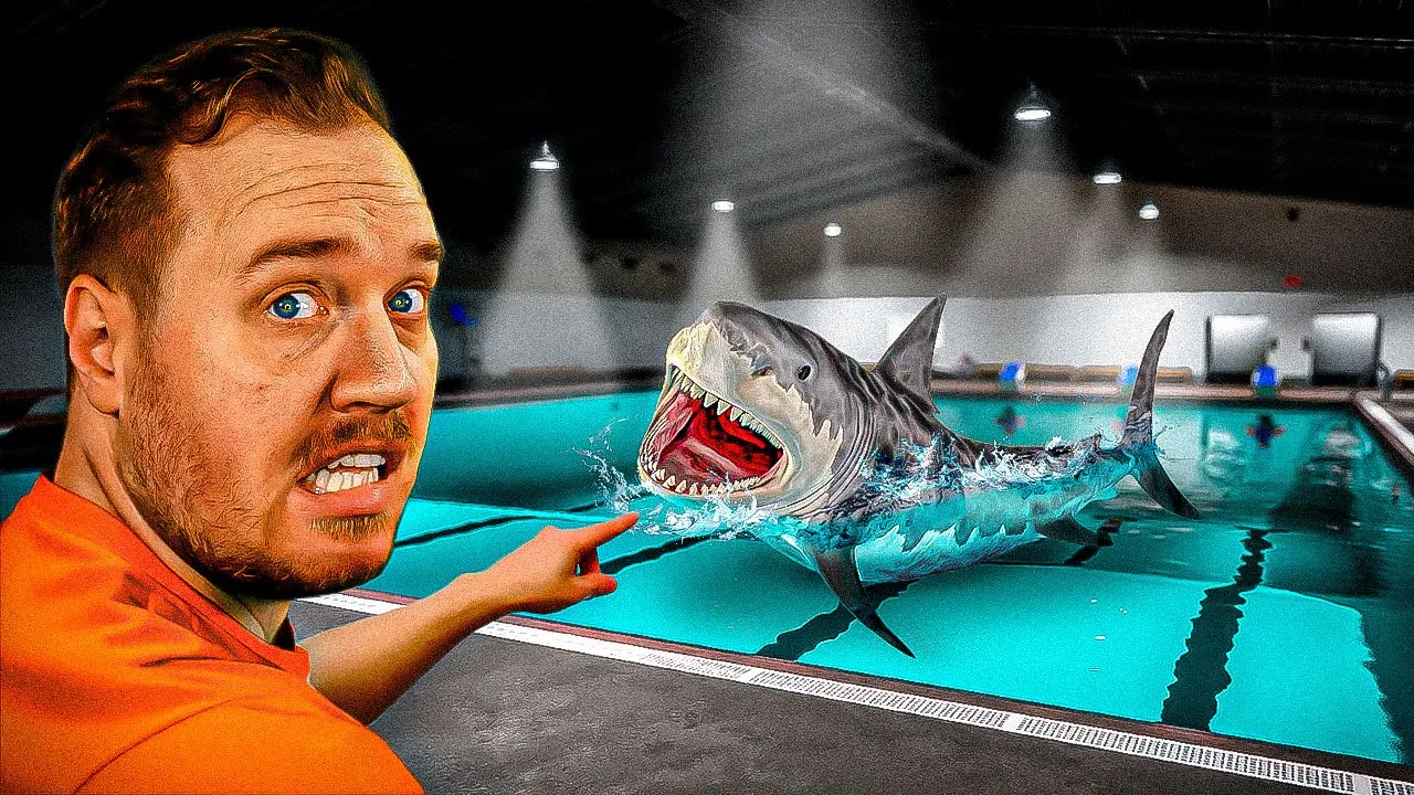 Svømmer med HAJER i SVØMMEHAL!