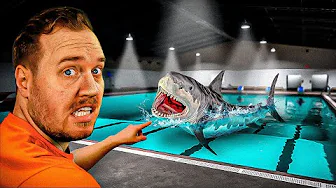 Svømmer med HAJER i SVØMMEHAL!