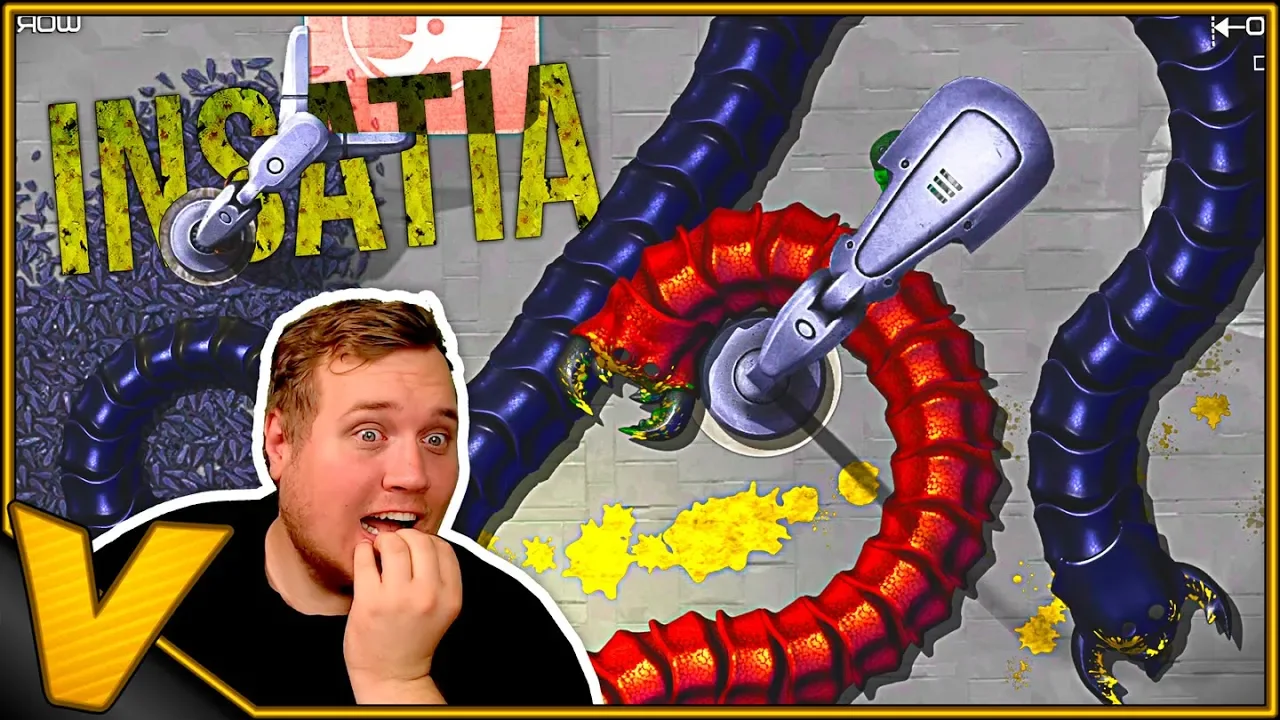 KÆMPE ORME ÆDER HINANDEN :: Insatia Dansk