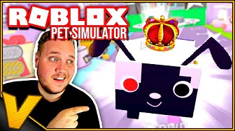 BOOSTER HATTE TIL PETS :: Pet Simulator - Roblox Dansk