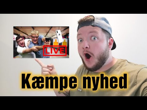 Hvad går jeg og arbejder på ?