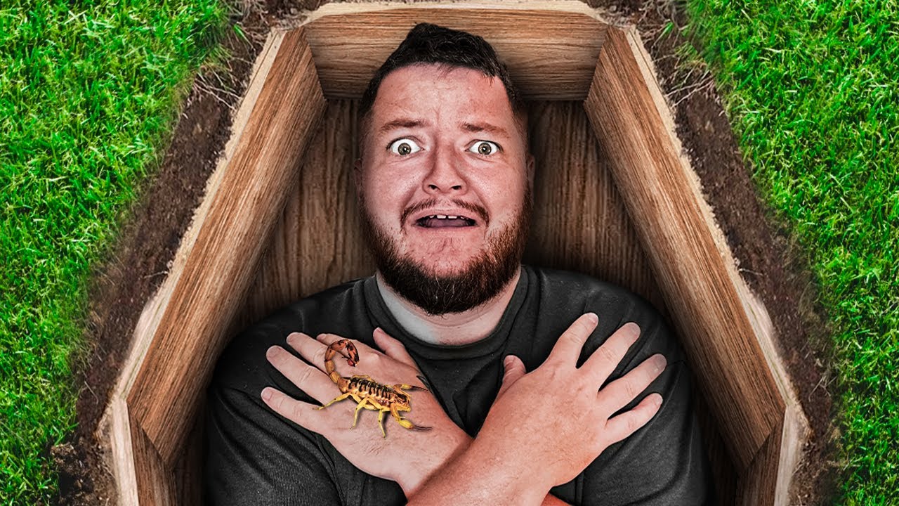 OVERLEVER 24 TIMER I EN KISTE