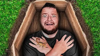 OVERLEVER 24 TIMER I EN KISTE