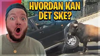 Naturen er UHYGGELIG